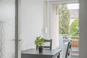 a table with a potted plant on it in front of a window at NT02 schönes Appartement - ideal für Teams Self Check-In in Nürtingen