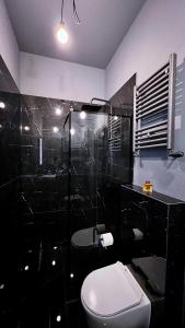a black and white bathroom with a toilet and a shower at BDSM Red Room Apartment in Łódź +8 photos
