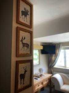 drie ingelijste foto's van herten aan een muur bij Dulrush Lodge Guest House, Restaurant and Self-Catering in Belleek