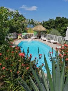 Πισίνα στο ή κοντά στο Bungalow Mabouya avec piscine