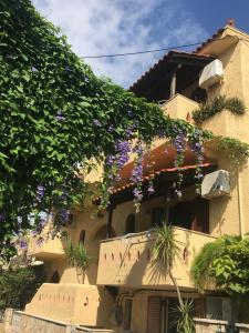 Φωτογραφία από το άλμπουμ του Villa Anna στα Σύβοτα