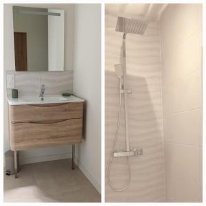 een badkamer met een wastafel, een douche en een spiegel bij A la Lueur des Prés 