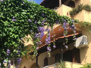 Φωτογραφία από το άλμπουμ του Villa Anna στα Σύβοτα