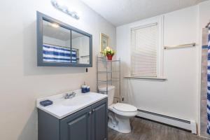 a bathroom with a sink and a toilet and a mirror at Frog Hollow Red Door Haven in Hartford +23 photos