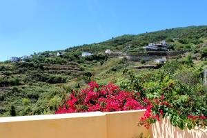 a view of a hill with pink flowers on a fence at Los Nacientes: Marcos in Los Sauces