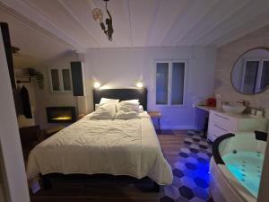Maison SPA DISNEY في لاني: غرفة نوم مع سرير وحوض استحمام