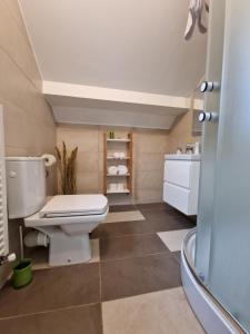 a bathroom with a toilet and a sink at Sabina's Cozy House in Buşteni