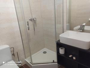 W łazience znajduje się prysznic, umywalka i toaleta. w obiekcie HOTEL ODR w mieście Sulechów