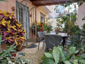 Zahrada ubytování Centre Appartement Piscine Wifi + 6 fotografií