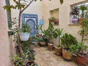 صورة لـ Centre Appartement Piscine Wifi في طنجة