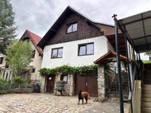 um cão parado em frente a uma casa em Ubytování nad vinným sklípkem - Pension Pausram em Pouzdřany