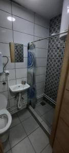 een badkamer met een toilet, een wastafel en een douche bij Apartmani Lovcen in Prolom