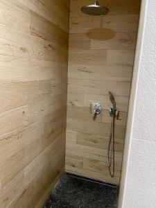 a shower in a bathroom with a wooden wall at La Grange des Duc(s) in Eckbolsheim