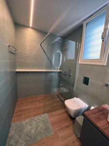 a bathroom with a glass shower and a toilet at Elia Luxury Residence in Chalkida