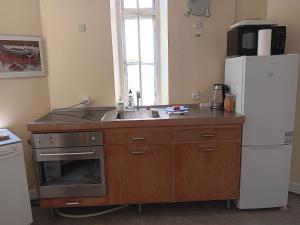 a kitchen with a sink and a refrigerator at B&B SPS Downtown Copenhagen in Copenhagen