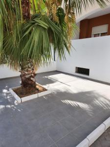 Φωτογραφία από το άλμπουμ του ¡Bajo con terraza y patio con vistas a la piscina comunitaria! σε Vera