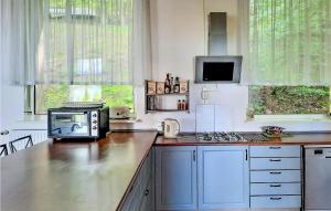eine Küche mit einer Arbeitsplatte und einer Mikrowelle in der Unterkunft Awesome Home In Suleczyno With Kitchen in Sulęczyno