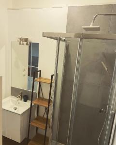 uma casa de banho com um chuveiro e um lavatório. em Hôtel Particulier Morez em Morez