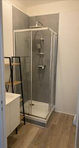 una ducha con puerta de cristal en una habitación en Hôtel Particulier Morez en Morez