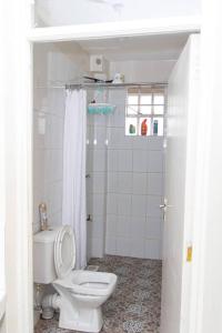 La salle de bains blanche est pourvue d'une douche et de toilettes. dans l'établissement The Homey Haven, à Eldoret