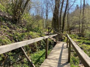 a wooden boardwalk in a forest with trees at Wunderwelt Betzenstein familiär-ländlich-modern in Betzenstein