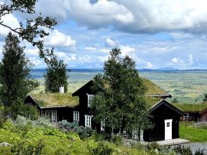 una casa con techo de hierba en una colina en Torshaug 4 bedroom cabin, en Gol