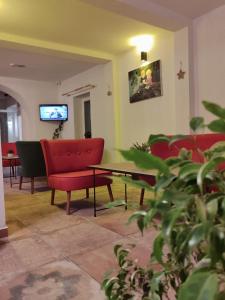 a waiting room with red chairs and a table and a tv at The Professor's Hotel in Bodrum City