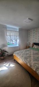 クルジュ・ナポカにあるAnna's Guesthouseのベッドルーム(大型ベッド1台、窓付)