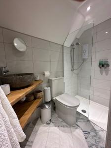 La salle de bains est pourvue de toilettes, d'un lavabo et d'une douche. dans l'établissement Thatchcombe B&B, à Wantage