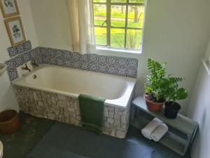 a bath tub in a bathroom with a window at Oak Lane Cottages in Elgin