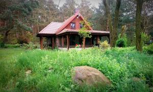 mały domek na środku pola w obiekcie Stone cottage 