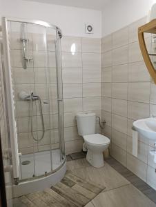 uma casa de banho com um chuveiro, um WC e um lavatório. em Hotel Romantyczny em Miedzyrzec Podlaski
