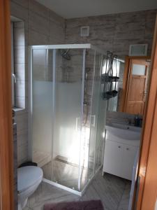 a shower in a bathroom with a toilet and a sink at Domki Obłazówka nad Białką in Nowa Biała