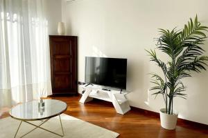 a living room with a television and a potted plant at Amazing Flat with Terrace in Milan