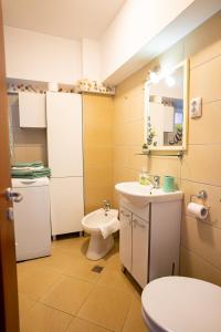 une salle de bain avec un lavabo, des toilettes et un miroir dans l'établissement Metropolitan Wildscape View, à Braşov 21 autres photos