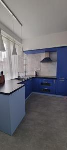 Eldhús eða eldhúskrókur á Apartmán A7 u Jeníčka v Chomutově