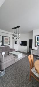 Televiisor ja/või meelelahutuskeskus majutusasutuses Apartmán A7 u Jeníčka v Chomutově