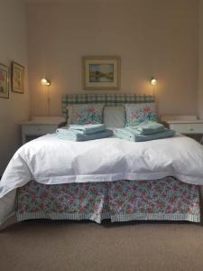 ein Schlafzimmer mit einem großen weißen Bett mit Kissen in der Unterkunft Glengyle Guest Farm in Barkly East
