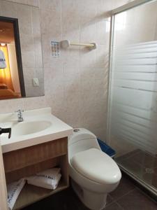 y baño con aseo, lavabo y ducha. en HOTEL PLAZUELA REAL, en Bucaramanga