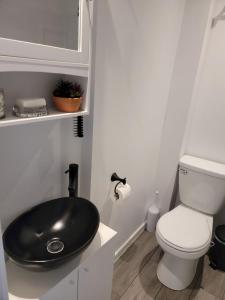 een badkamer met een zwarte wastafel en een toilet bij Comfy 1 bdrm apartment close to highway in Edmundston