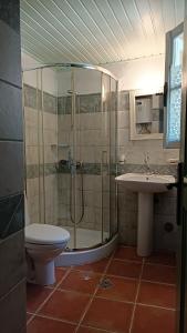 La salle de bains est pourvue d'une douche, de toilettes et d'un lavabo. dans l'établissement Villa Panayiota, à vieille ville d'Alonissos