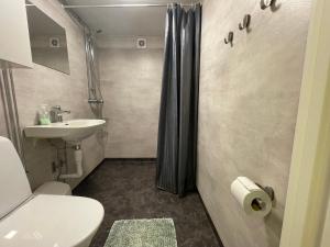 a bathroom with a sink and a toilet and a shower at Källarlägenhet Centrumvägen Gusum in Gusum