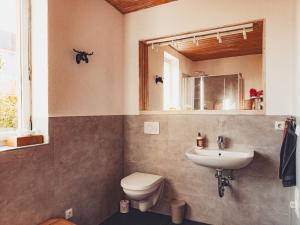 a bathroom with a toilet and a sink and a mirror at Ferienwohnung Brühler Hof in Bad Berka