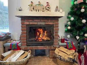 una chimenea en la sala de estar con un árbol de Navidad en Cabana Peștera Bolii, en Petroşani