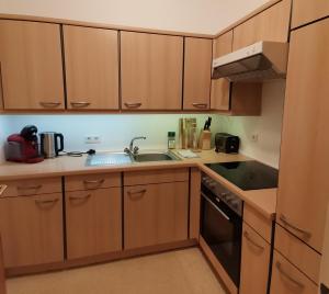 a small kitchen with wooden cabinets and a sink at City Center Golden Roof 8 in Innsbruck +17 photos