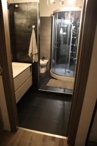 a bathroom with a shower and a sink and a toilet at Orticello Appartment in San Sperate