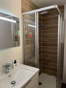 La salle de bains est pourvue d'une douche et d'un lavabo blanc. dans l'établissement Binis Murtalblick, à Pöls