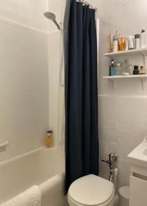 a bathroom with a toilet and a blue shower curtain at Charming Studio West Village in New York
