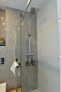 een badkamer met een douche en een glazen deur bij Grey 5 Zgorzelec - Görlitz in Zgorzelec