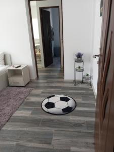 Galeriebild der Unterkunft Dana Studio in Tulcea